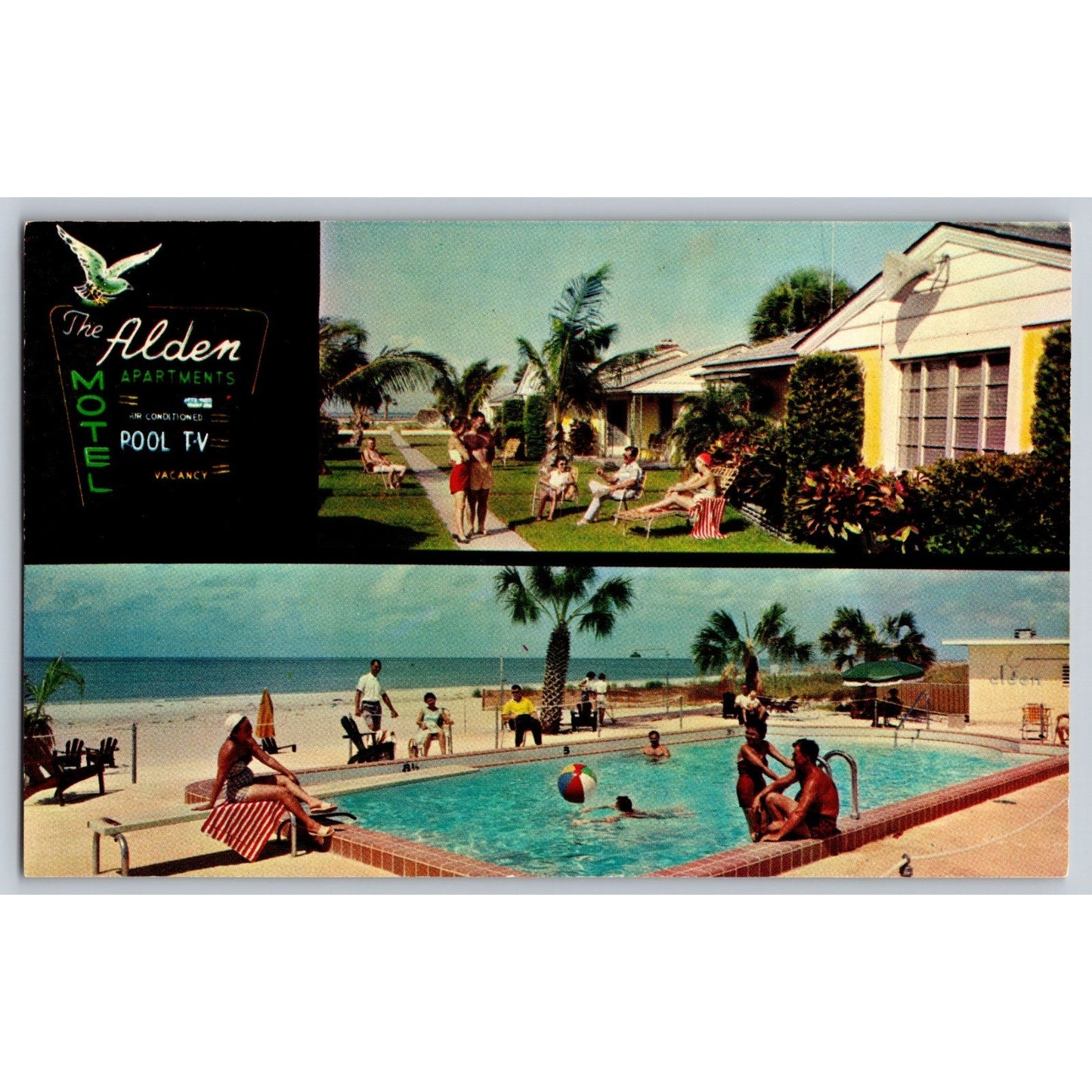 St Petersburg FL Florida Alden Apartments & Motel Chrome Postcard Unused