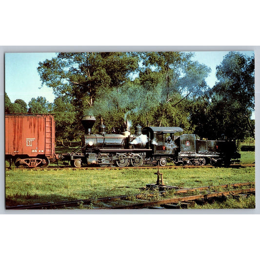 Fishes LA Louisiana Long Leaf #7 Train Railroad Chrome Postcard Unused