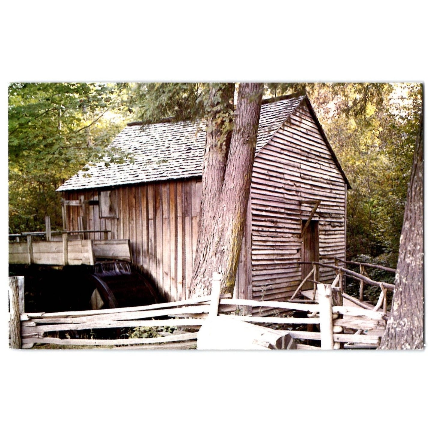 Cades Cove Great Smoky Mountains TN John P Cable Mill National Park Postcard