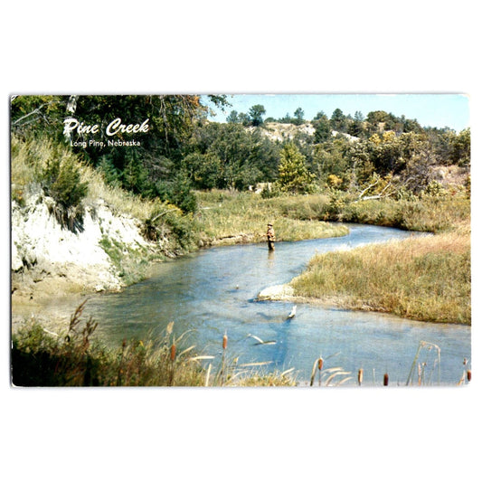Long Pine Creek NE Nebraska Brown County Fly Fishing Chrome Postcard Unused