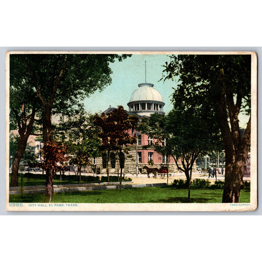 EL Paso TX Texas City Hall 1910 White Border Postcard Fred Harvey