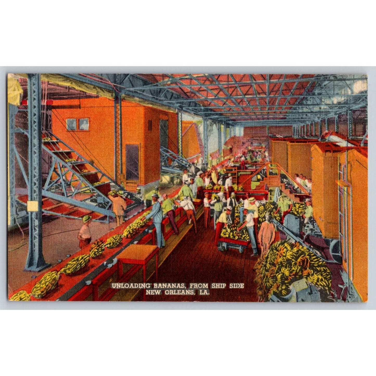 New Orleans LA Louisiana Unloading Bananas Ship from Side Linen Postcard Unused