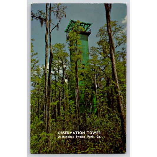 Postcard GA Georgia Okefenokee Swamp Observation Tower Chrome Unused