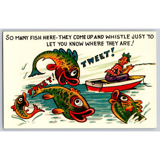 Comic Postcard Humorous Fishing So Many Fish Cartoon Tichnor Bros