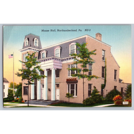 Northumberland PA Pennsylvania Moose Hall Linen Postcard