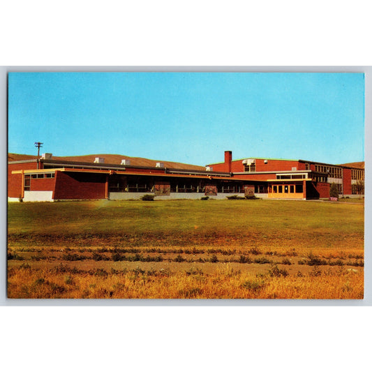 Lusk WY Wyoming High School Chrome Postcard Unused Noble Postcards Co