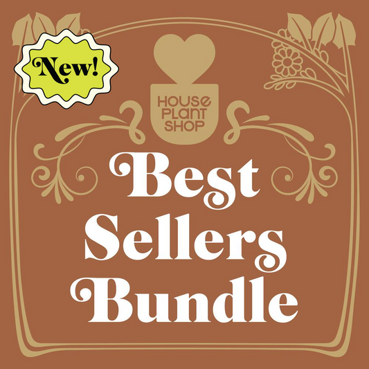 Best Selling Bundle Multiple Sizes Available 4 Plants per Bundle