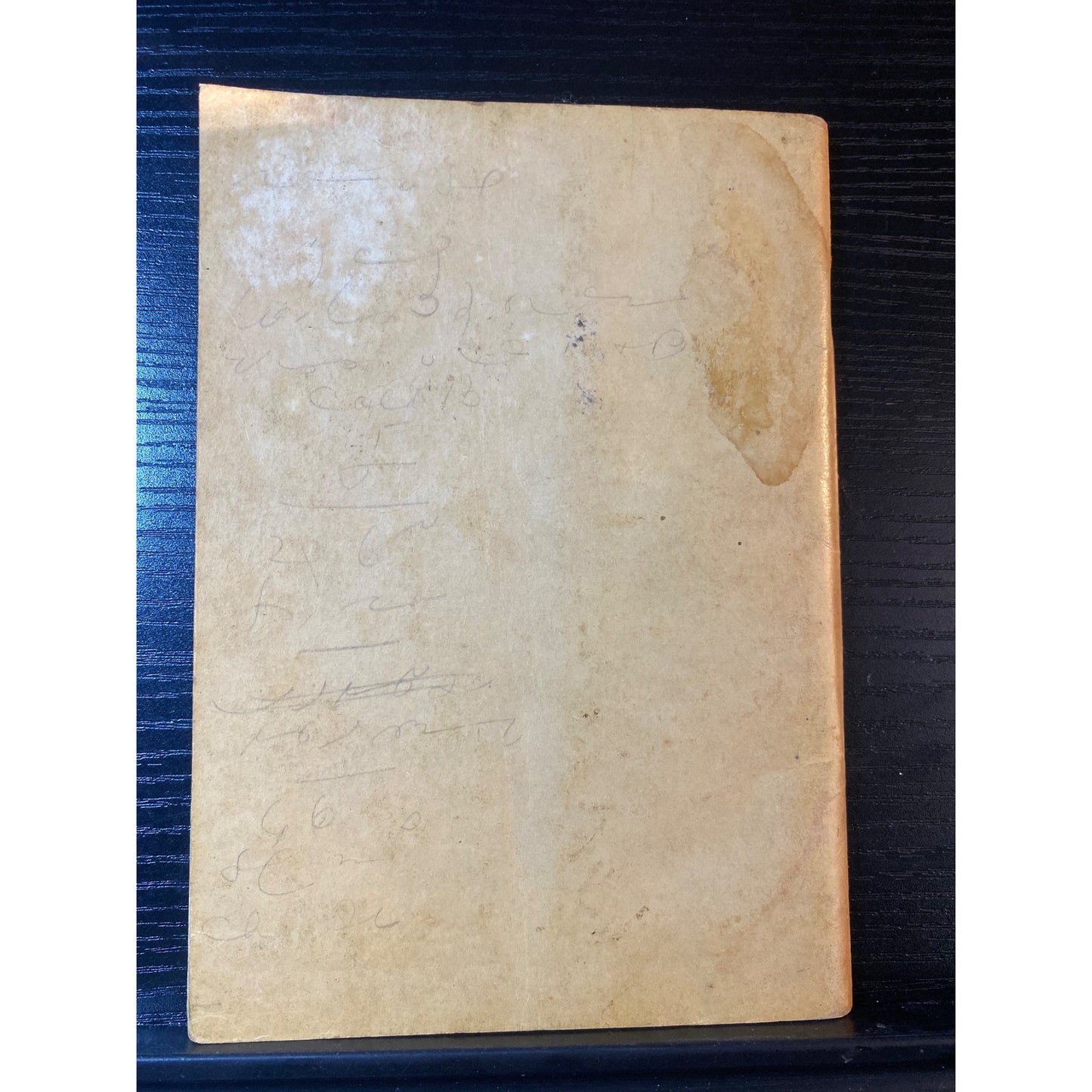 Six Hundred Suggestions For Serving Meat Alice Bradley 1935 Cookbook Booklet