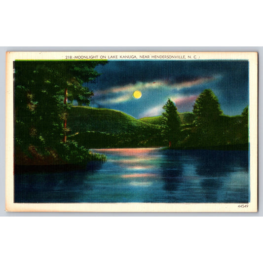 Hendersonville NC North Carolina Moonlight On Lake Kanuga White Border Postcard