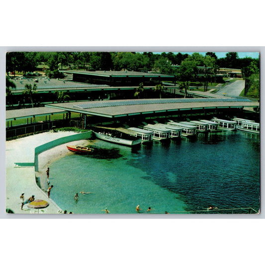 Ocala Fl Florida Silver Springs Glass Bottom Boats Chrome Postcard Unused