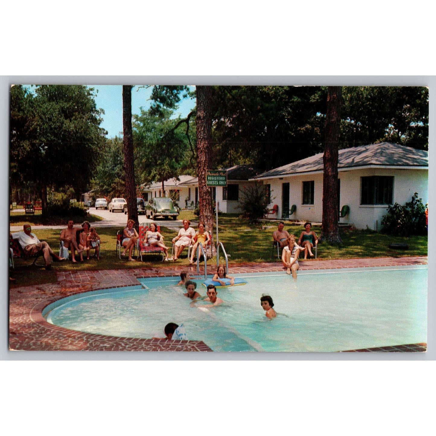 Gulfport MS Mississippi Sea Gull Tourist Court Pool Scene Chrome Postcard Unused