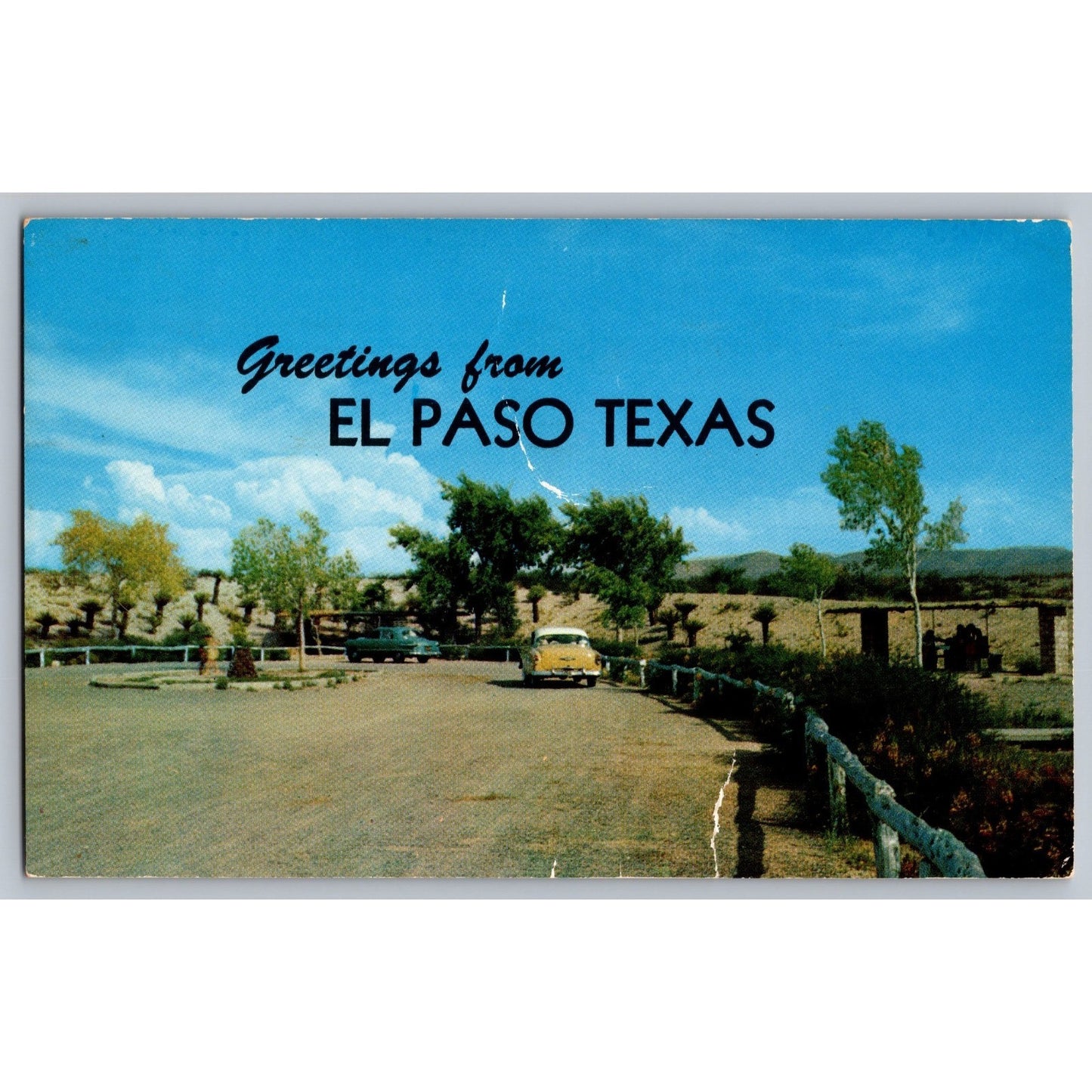 El Paso TX Texas Greetings from Texas Roadside Park 1956 Chrome Postcard Used