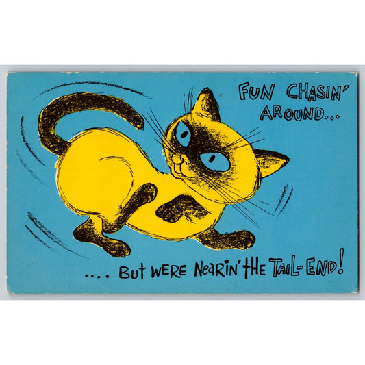Cat Themed Comic Postcard Fun Chasin Around Humor Artwork 1950s Mike Roberts