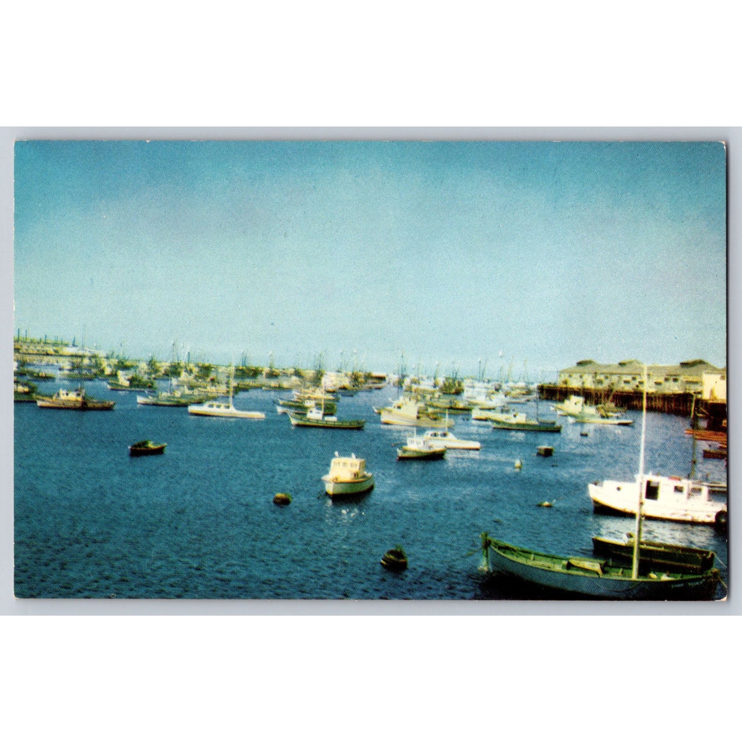 Monterey CA California Harbor Cannery Row Steinbeck Novel Boats Scene Postcard
