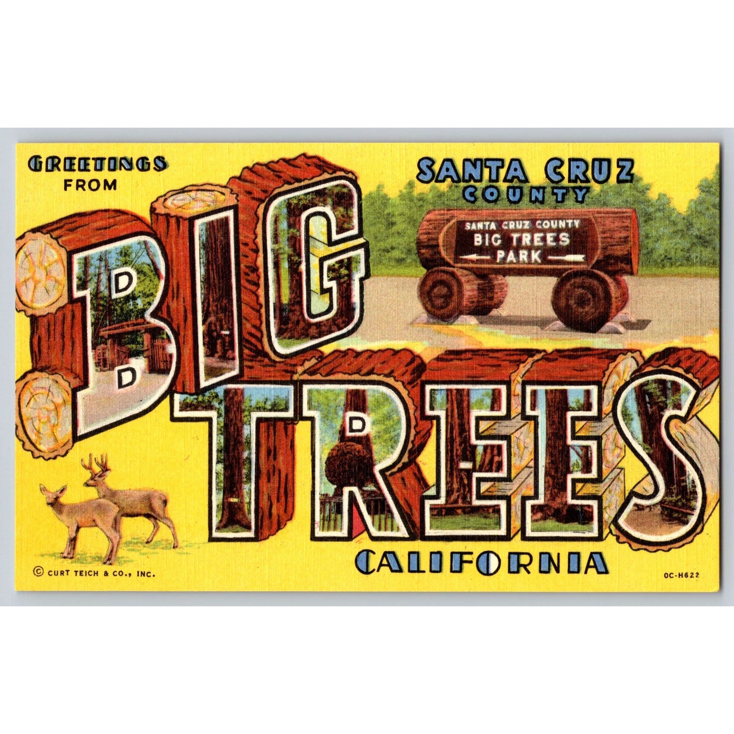 Santa Cruz County CA California Big Trees Park Large Letter Illustrated Postcard