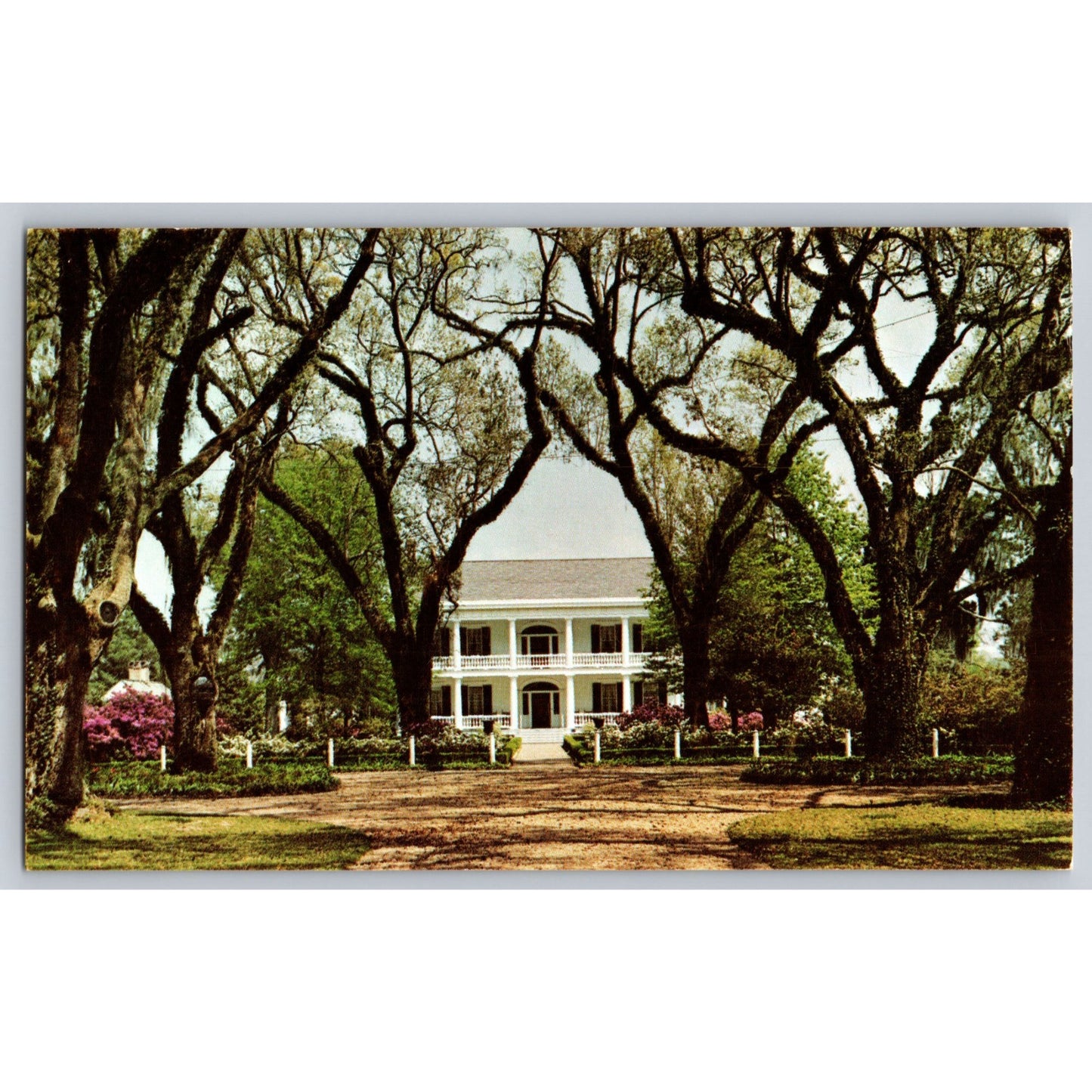 St Francisville LA Louisiana Rosedown Plantation House In The Spring Chrome Postcard