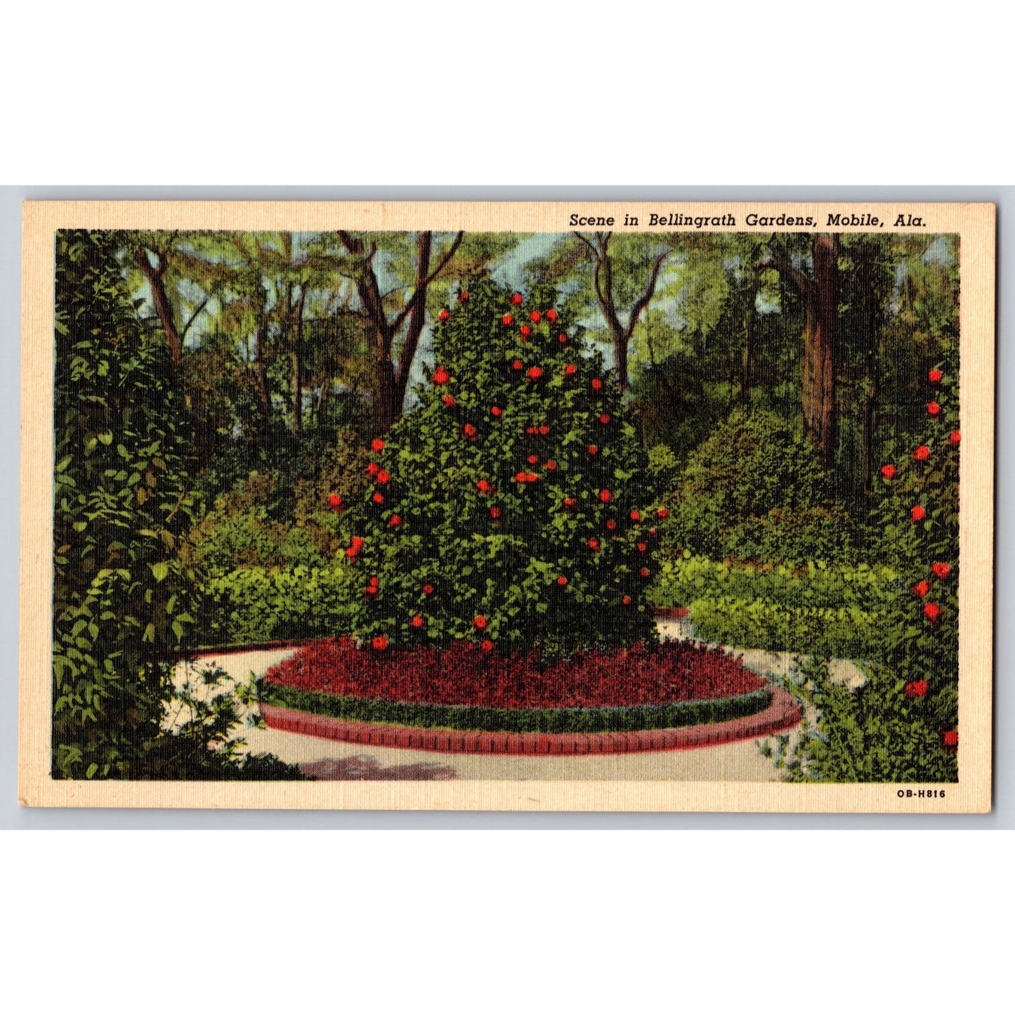 Mobile Al Alabama Scene In Bellingrath Gardens White Border Postcard Unused