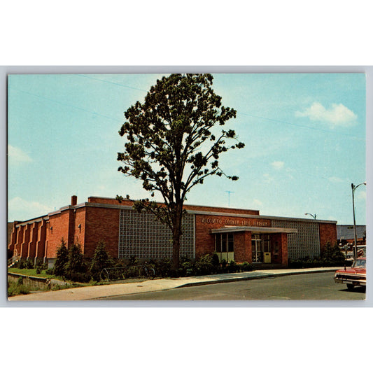Salisbury MD Maryland Wicomico County Free Library Postcard Brueckmann Unused