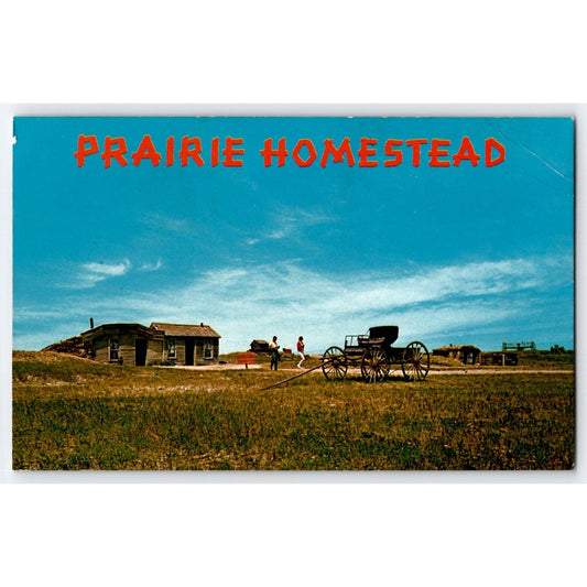 Interior SD South Dakota Prairie Homestead Dugout Sod House Chrome Postcard