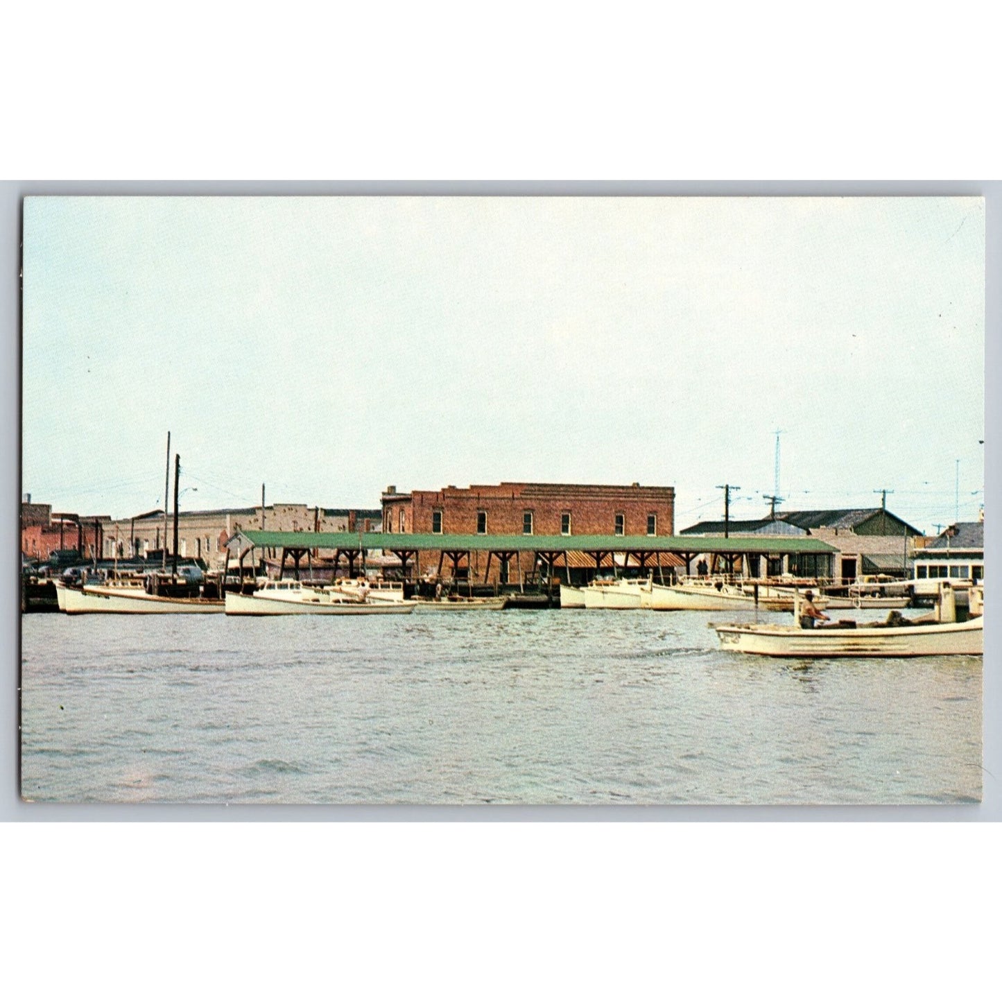 Crisfield MD Maryland Marina Chrome Postcard Unused Tingle