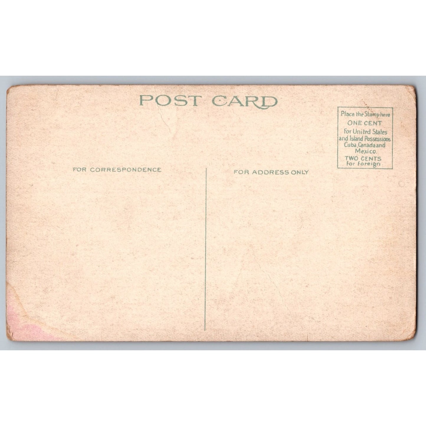 Buffalo NY New York Albright Art Gallery White Border Postcard Antique Cars