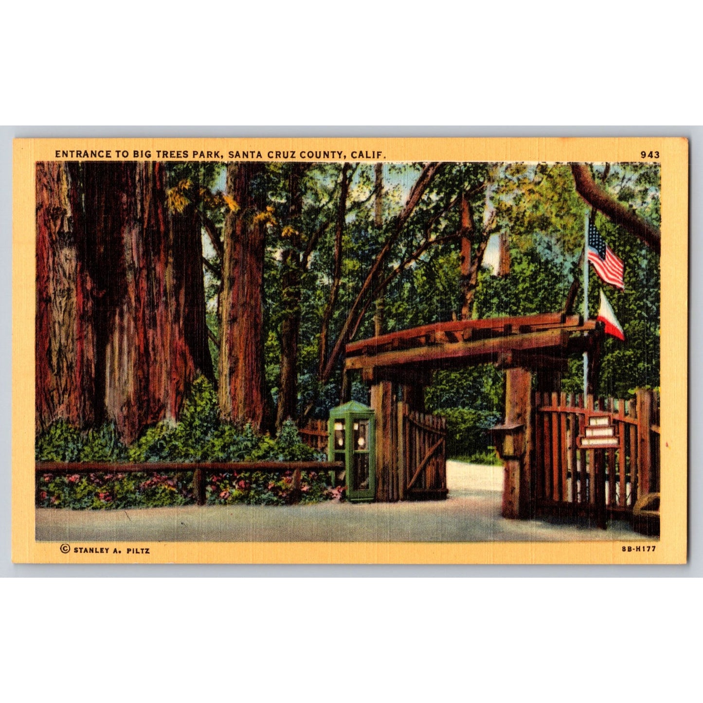Santa Cruz County CA California Big Trees Park Linen Postcard Unused