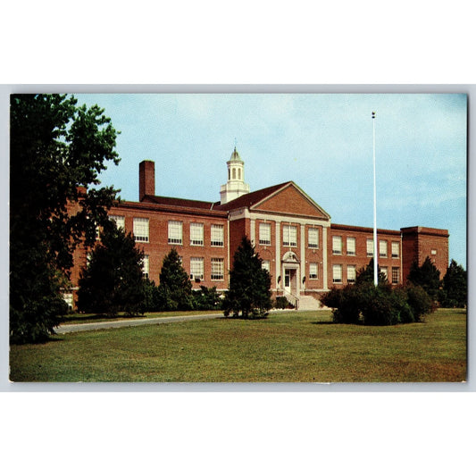 Dover DE Delaware High School Chrome Postcard Unused Tingle Printing