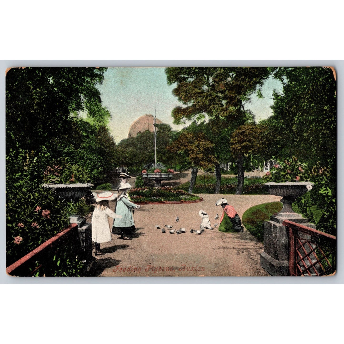 Buxton England Park Feeding Birds Divided Back 1906 Postcard Valentines Series