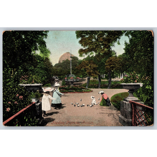 Buxton England Park Feeding Birds Divided Back 1906 Postcard Valentines Series