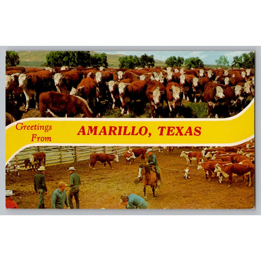 Amarillo TX Texas Greetings from Cattle Ranch Postcard Dexter