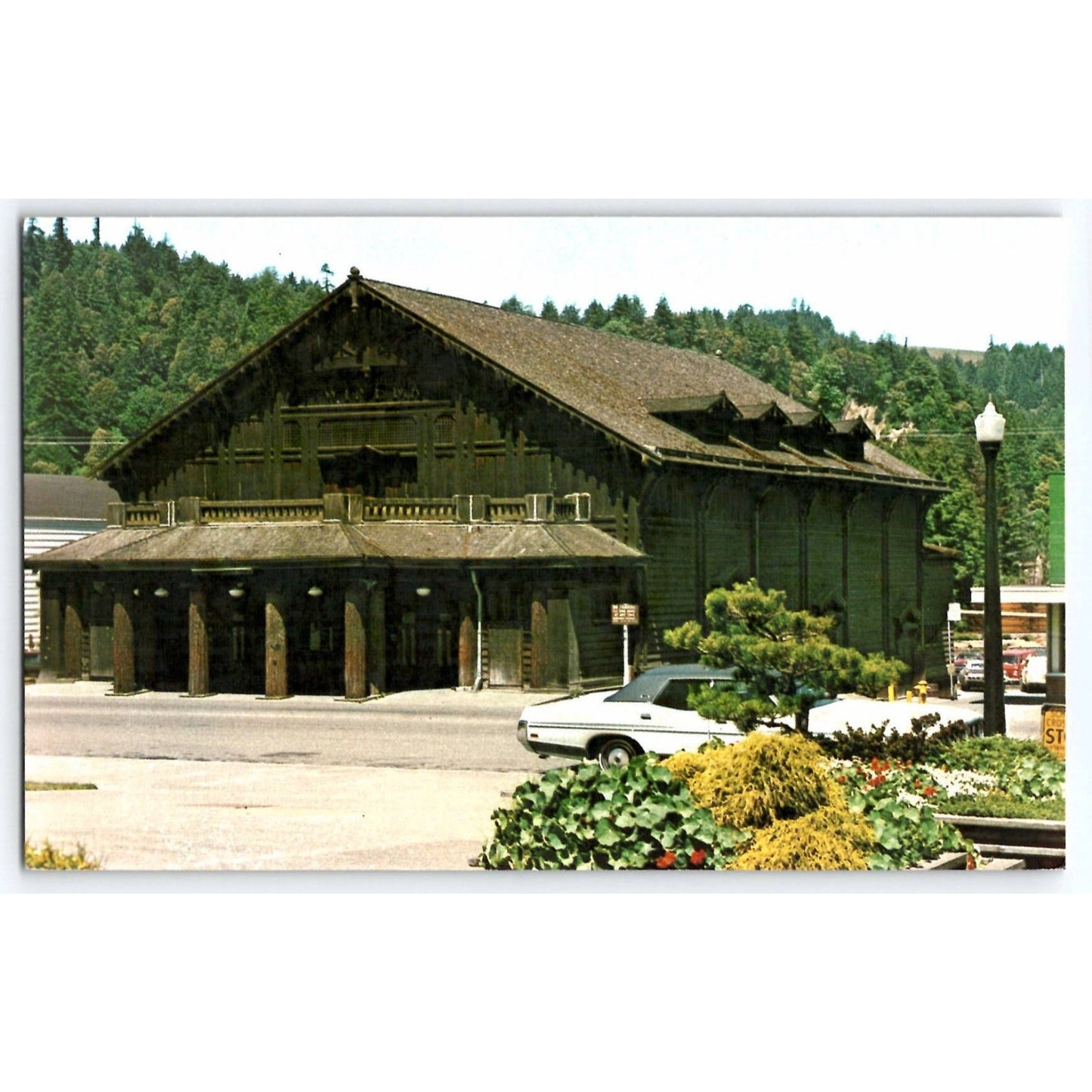 Scotia CA California Redwood Theatre Chrome Postcard Unused