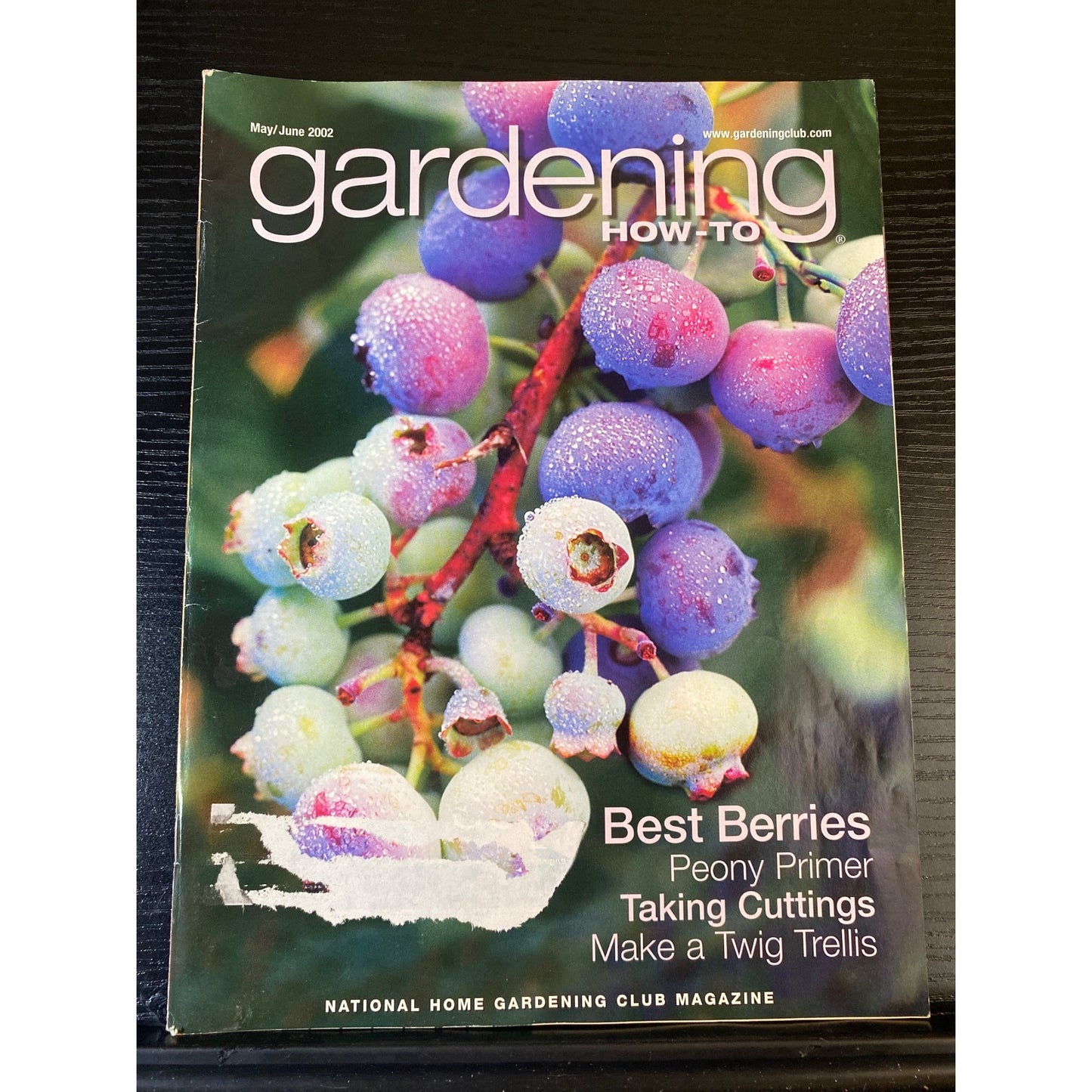 Gardening How-To Magazine May/June 2002 National Home Gardening Club
