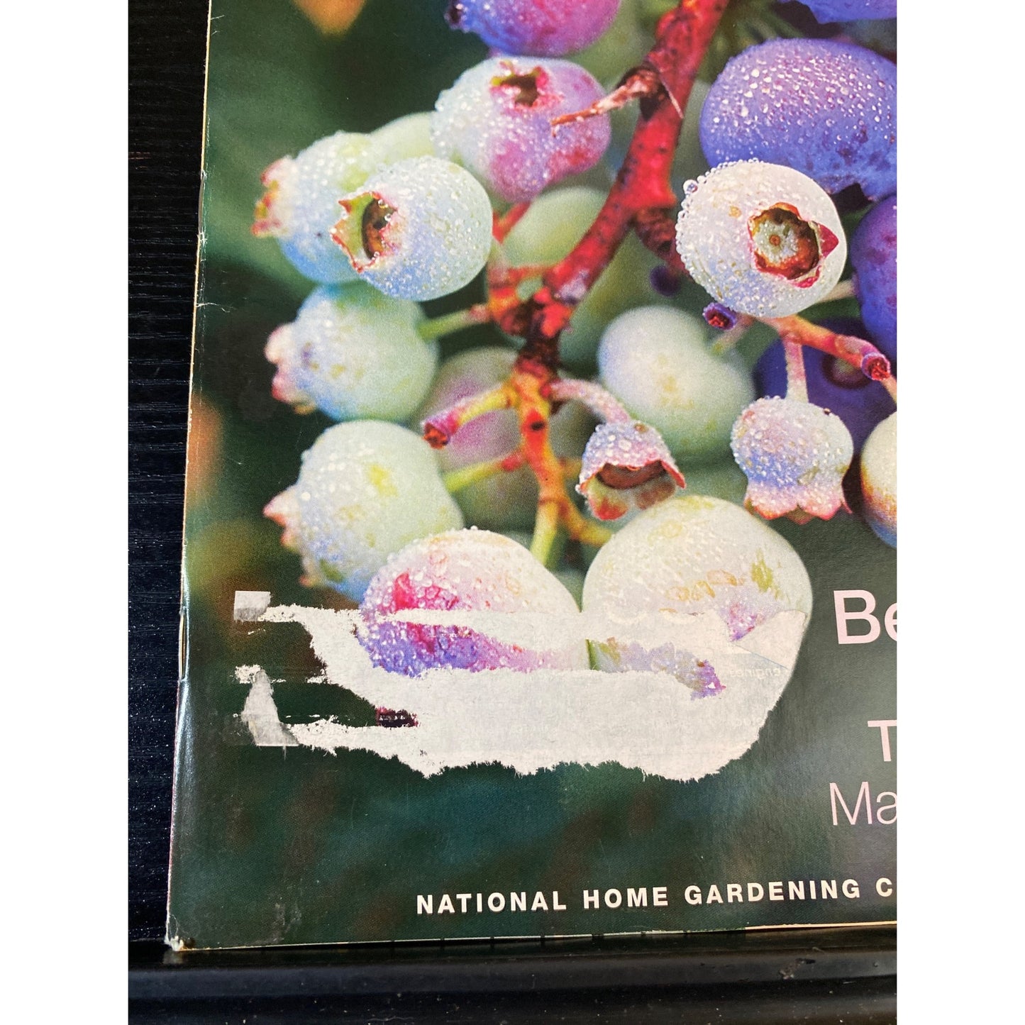 Gardening How-To Magazine May/June 2002 National Home Gardening Club
