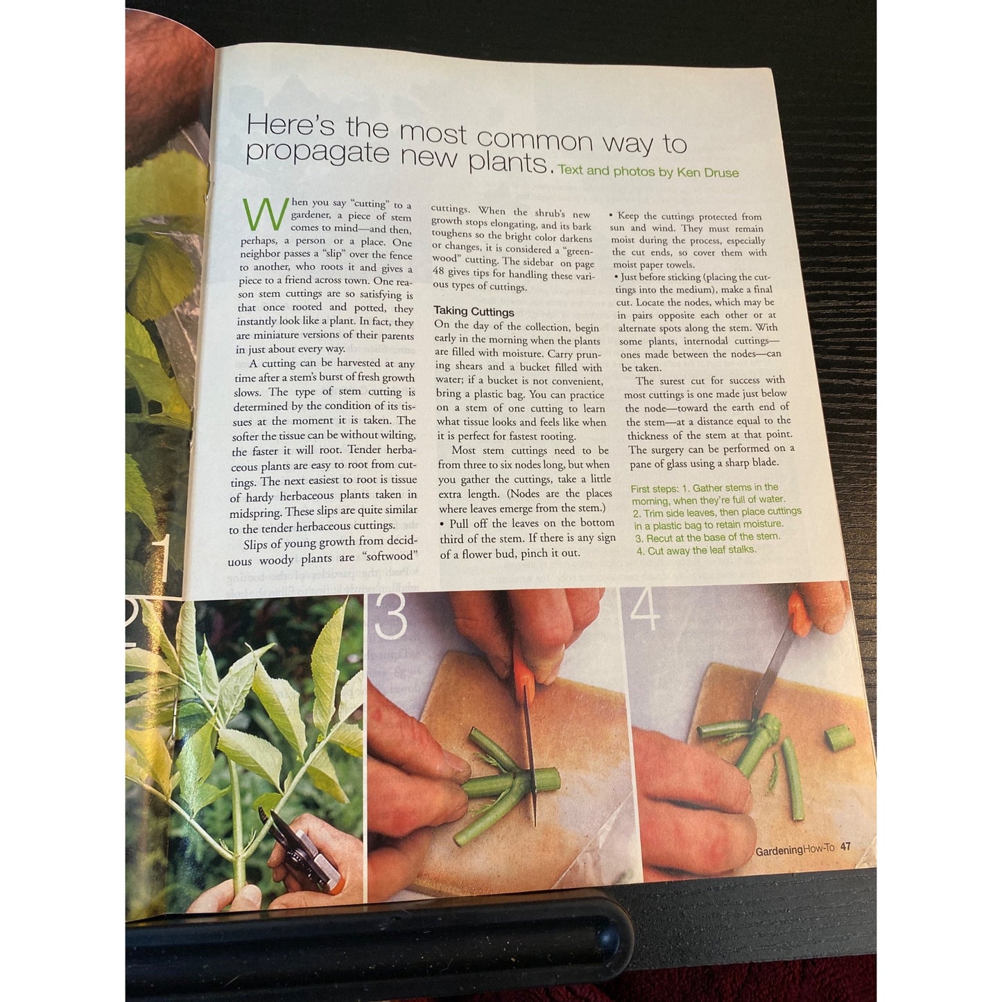 Gardening How-To Magazine May/June 2002 National Home Gardening Club