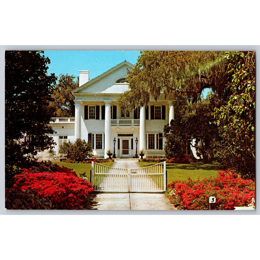 Wilmington NC North Carolina Orton Plantation Chrome Postcard Unused