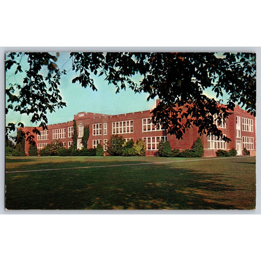 Georgetown DE Delaware High School Chrome Postcard Unused C H Ruth