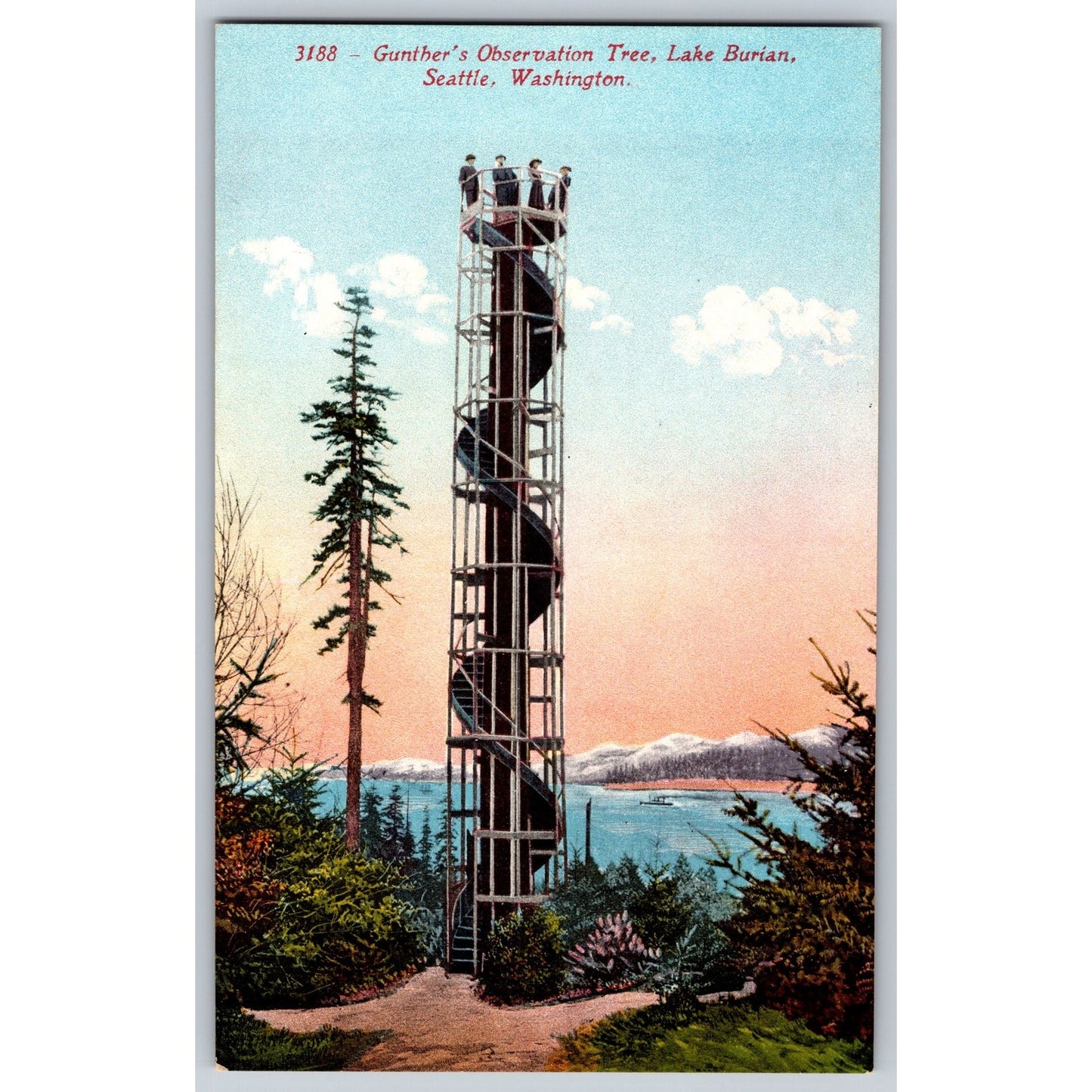 Seattle WA Washington Gunther's Observation Tree Postcard Lake Burian Postcard
