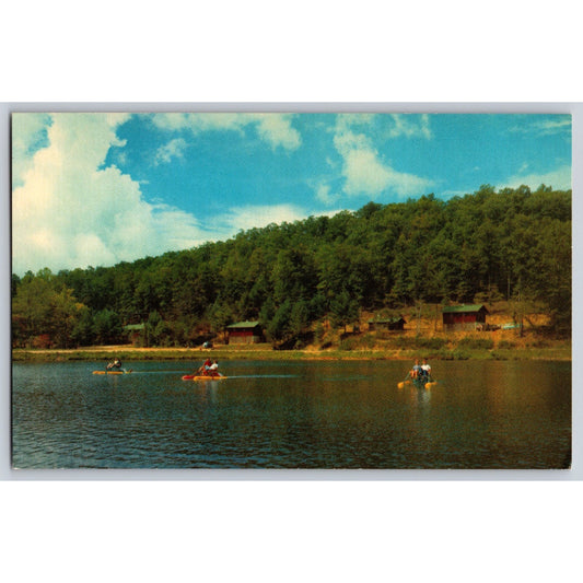 Lake Winfield Scott GA Georgia near Dahlonega Chrome Postcard Unused