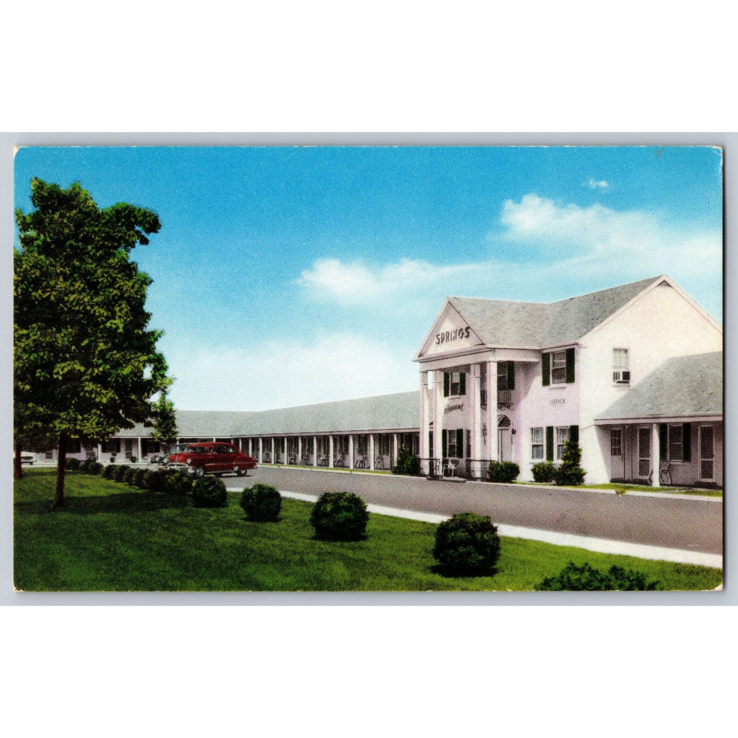 Lexington KY Kentucky The Springs Motel Chrome Postcard Unused Advertising Back