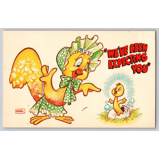 Comic Postcard Humorous Cartoon Hen and Chick We've Been Expecting You 1950s