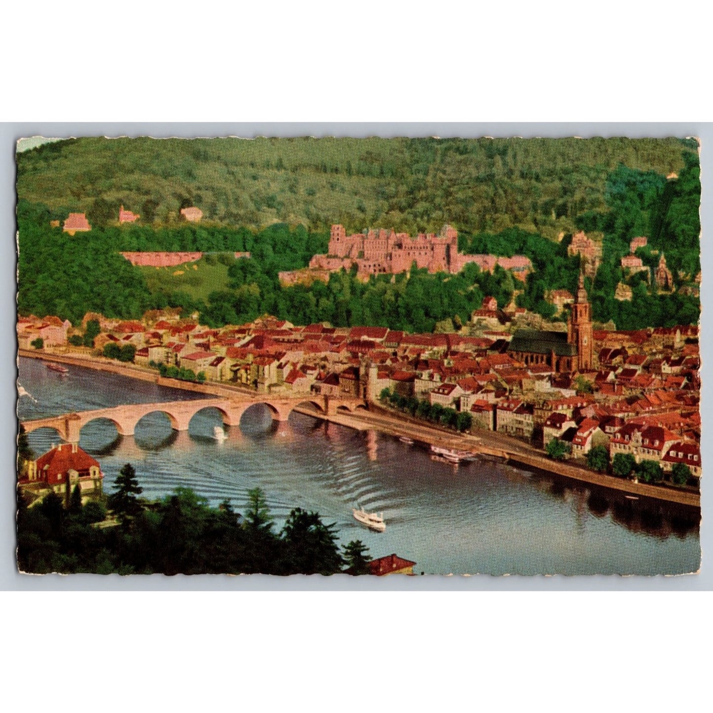 Heidelberg Germany Blick vom Philosophenweg Scenic View Divided Back Postcard
