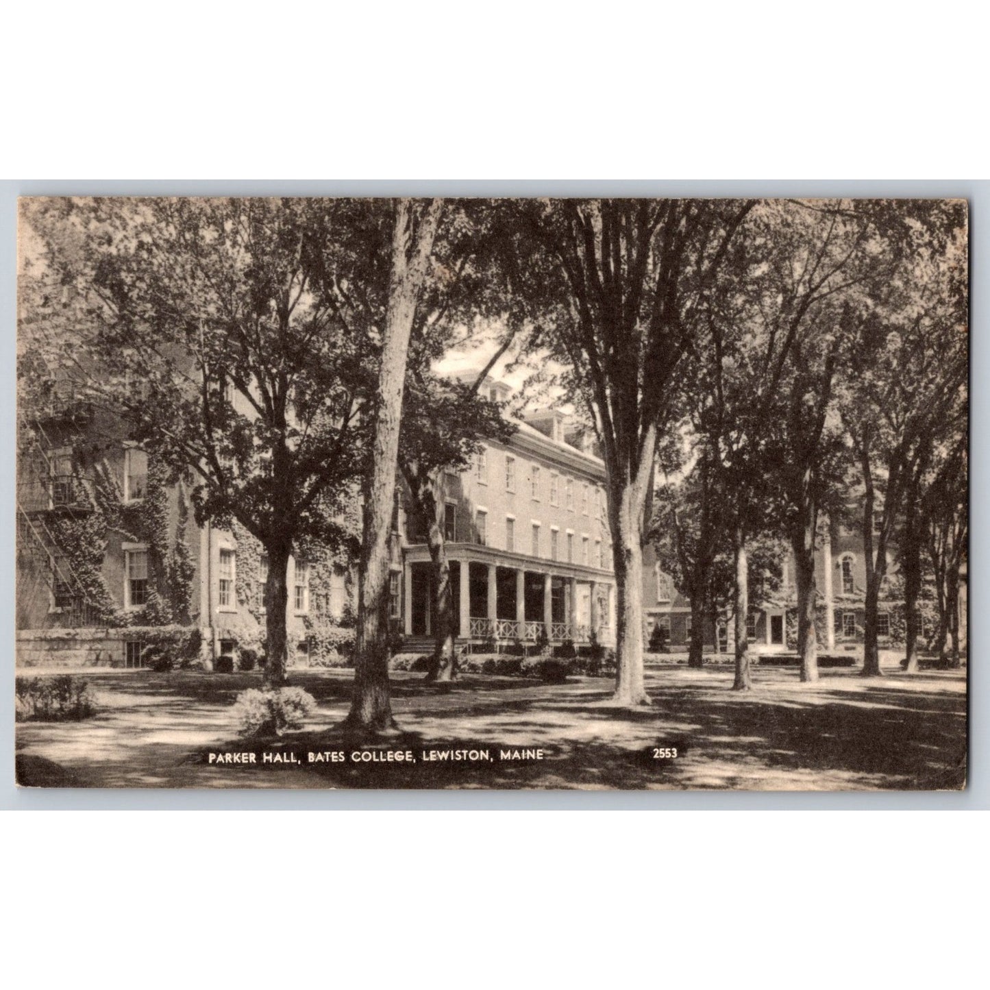 Lewiston ME Maine Bates College Parker Hall Divided Back Postcard Unused