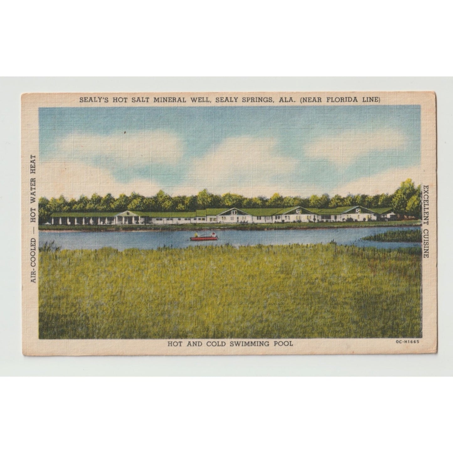 Sealy Springs AL Alabama Hot Salt Mineral Well White Border Unused