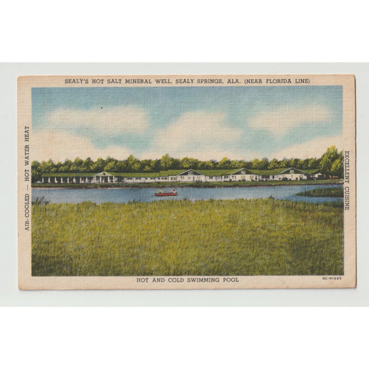Sealy Springs AL Alabama Hot Salt Mineral Well White Border Unused