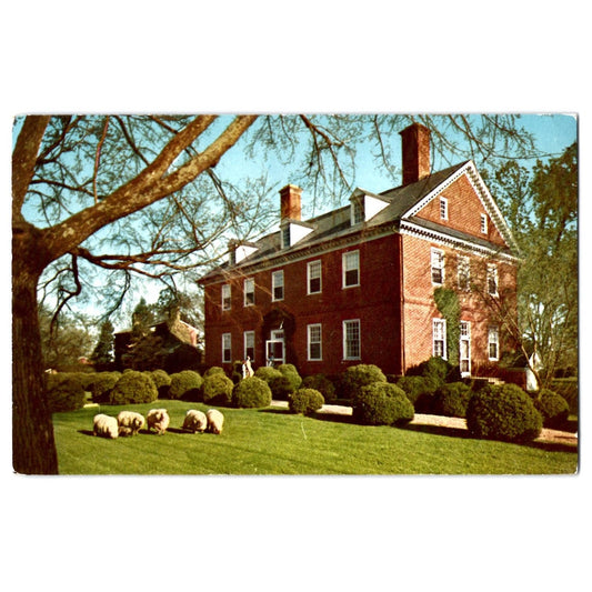 Charles City VA Virginia Berkeley Plantation Sheep Garden Scene Chrome Postcard