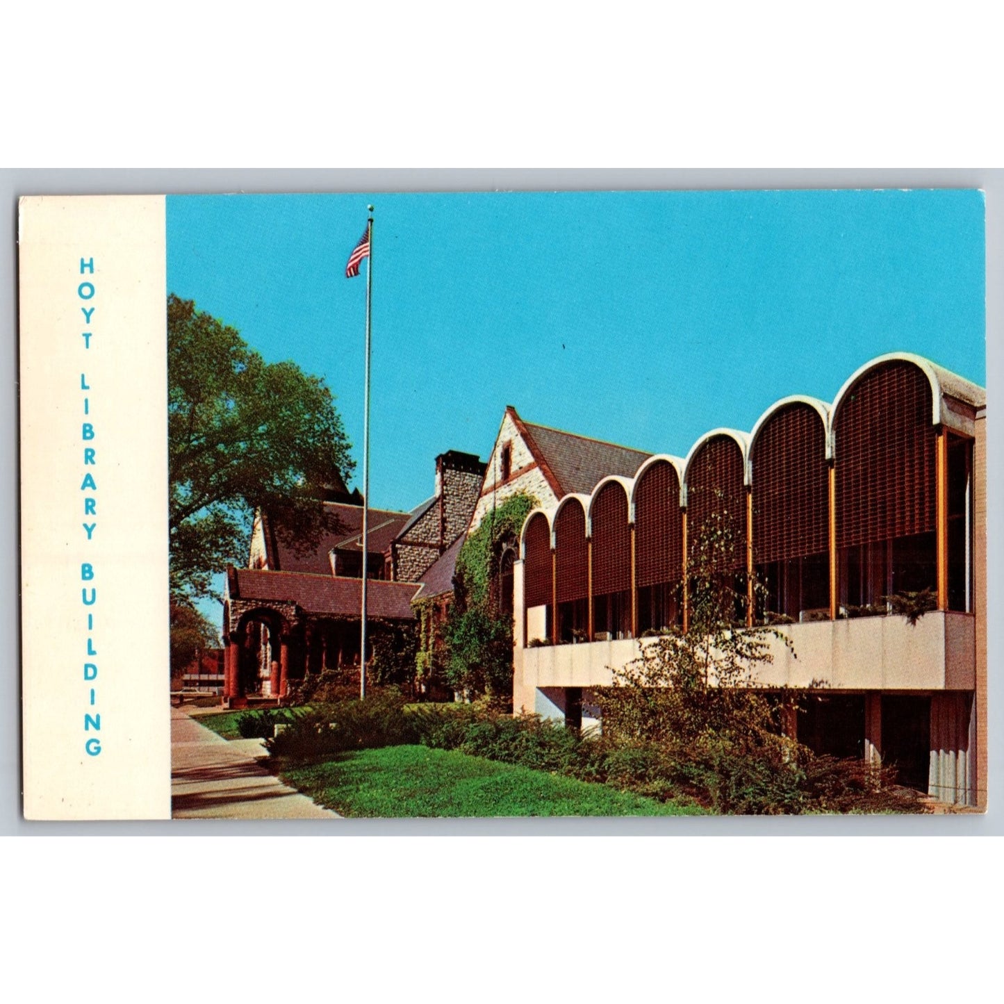 Saginaw MI Michigan Hoyt Library Building Chrome Postcard Unused Dexter Press