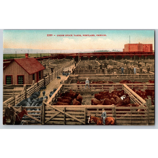 Portland OR Oregon Union Stock Yards Divided Back Postcard Edw H Mitchell