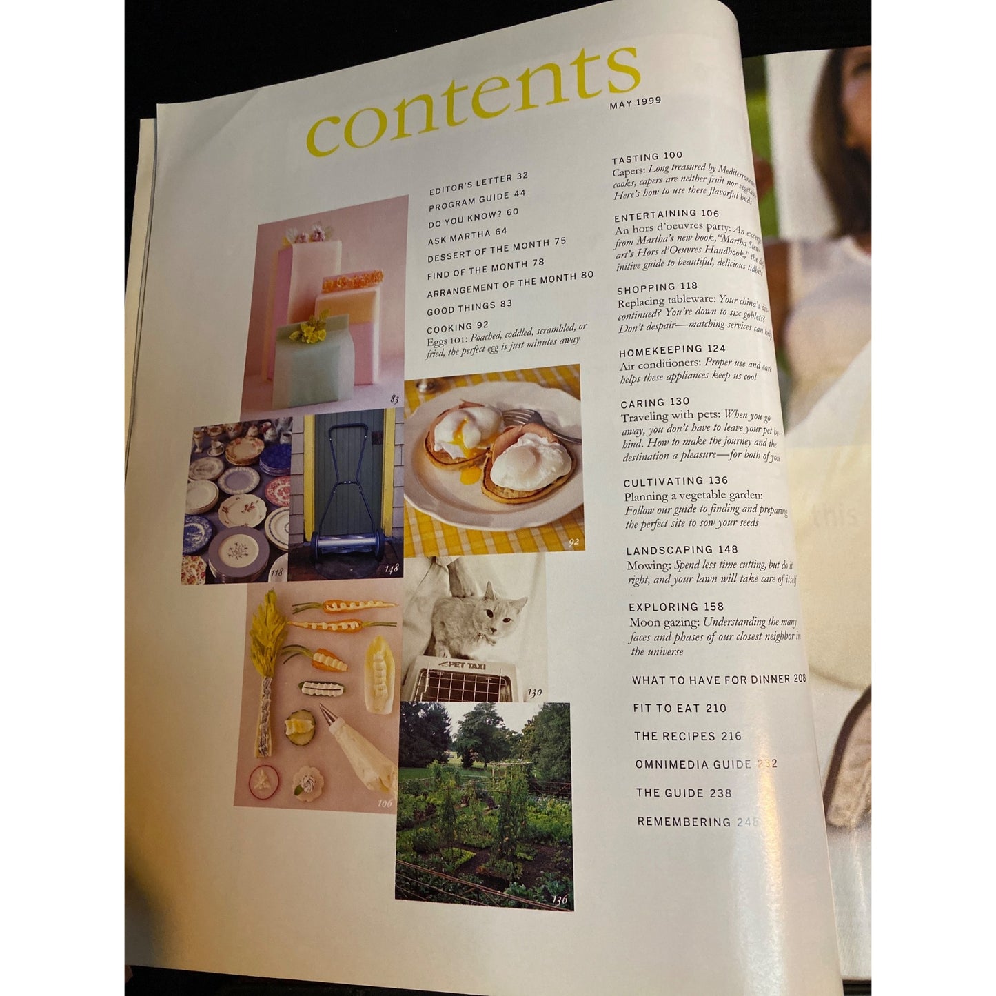 Martha Stewart Living Magazine May 1999 Mothers Day Metal Furniture Spr Gardens