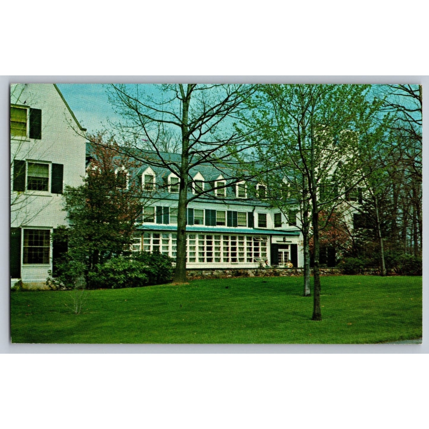 Nittany PA Pennsylvania Lion Inn State University Park Chrome Postcard Unused