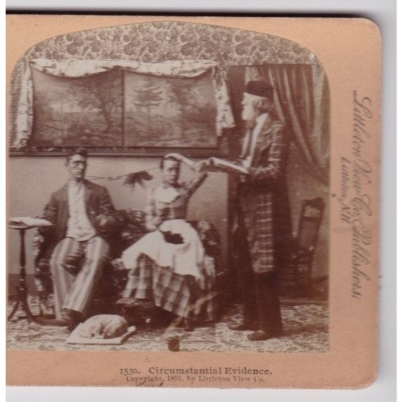 Circumstantial Evidence Stereoview Littleton View Co 1891 New York
